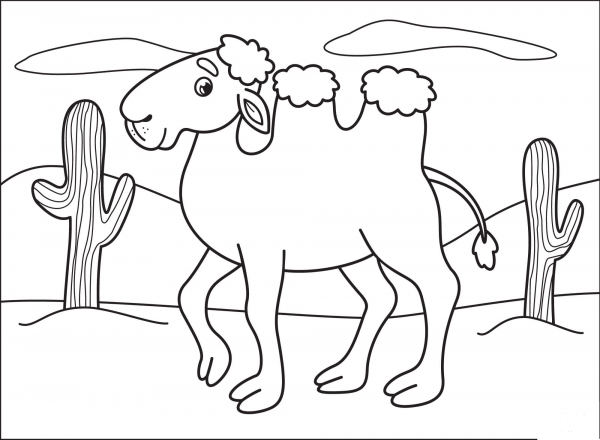 Camel coloring page image