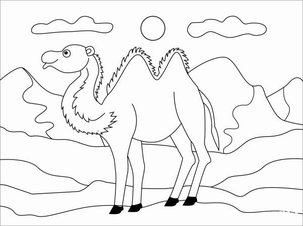 Camel coloring page image