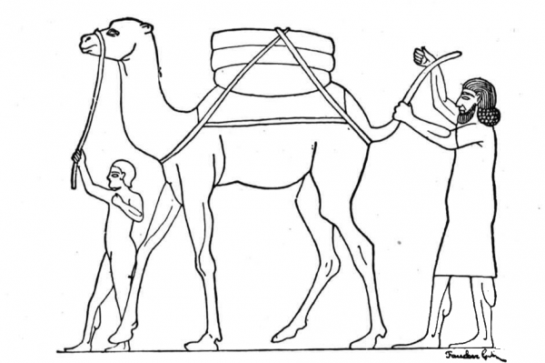Camel in Ancient Egypt coloring page image