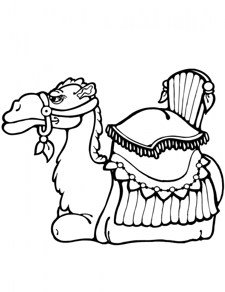 Camel Laying Down coloring page image