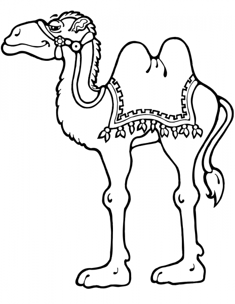 Camel Standing coloring page image