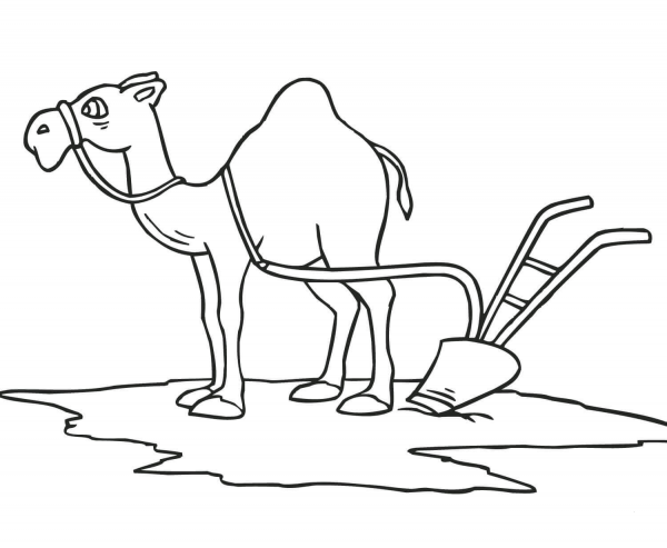 Camel with Plough coloring page image