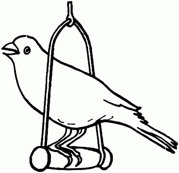 Canary Bird coloring page image