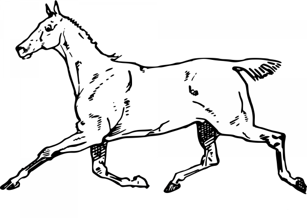 Cantering Horse coloring page image
