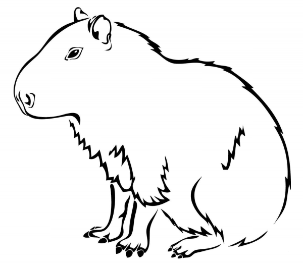 Capybara the Largest Rodent in the World coloring page image