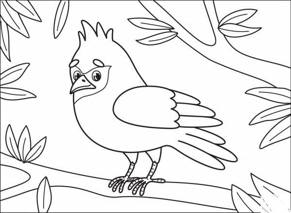 Cardinal coloring page image