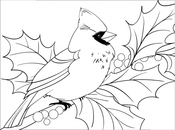 Cardinal coloring page image
