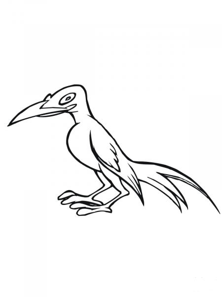 Caricature Magpie Bird coloring page image