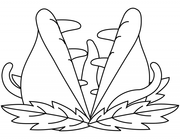 Carnivorous Plant Venus Flytrap coloring page image