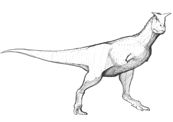 Carnotaurus Sastrei coloring page image