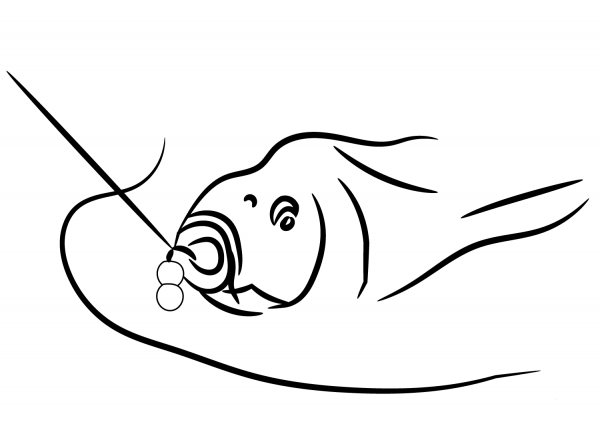 Carp Caught coloring page image