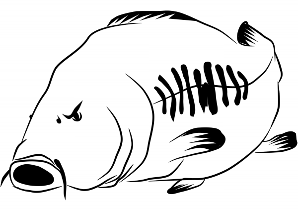 Carp coloring page image