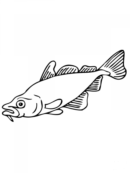 Carp Fish coloring page image