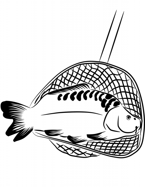 Carp in a Landing Net coloring page image