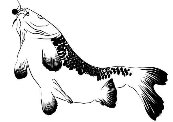 Carp on Hook coloring page image