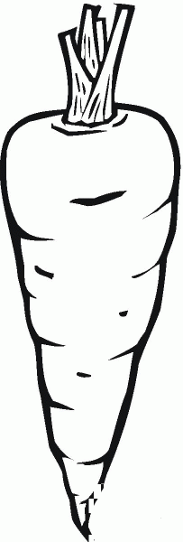 Carrot coloring page image