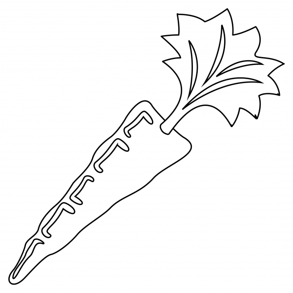 Carrot coloring page image