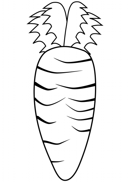 Carrot coloring page image
