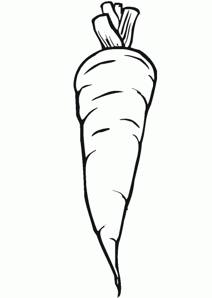 Carrot coloring page image