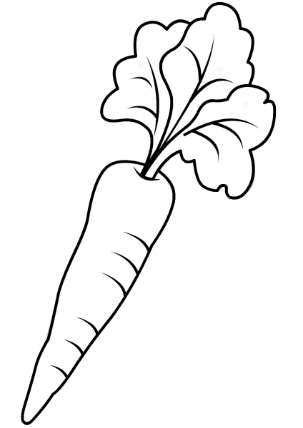 Carrot coloring page image