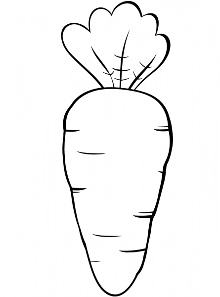 Carrot coloring page image