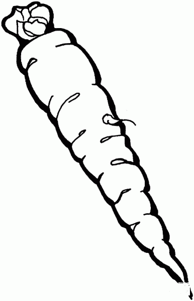 Carrot coloring page image