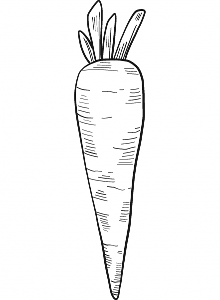 Carrot coloring page image