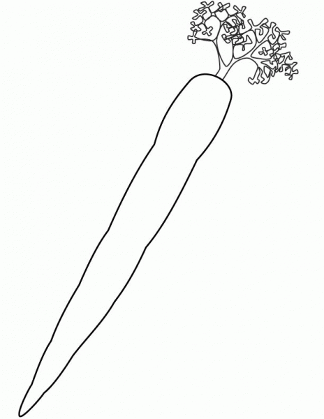 Carrot coloring page image