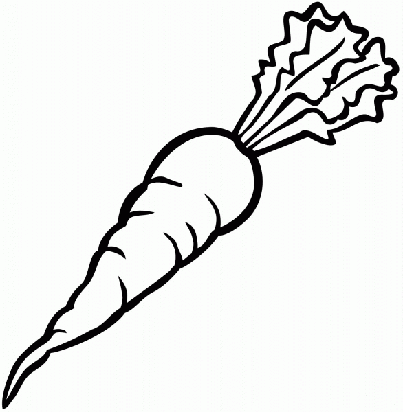 Carrot coloring page image