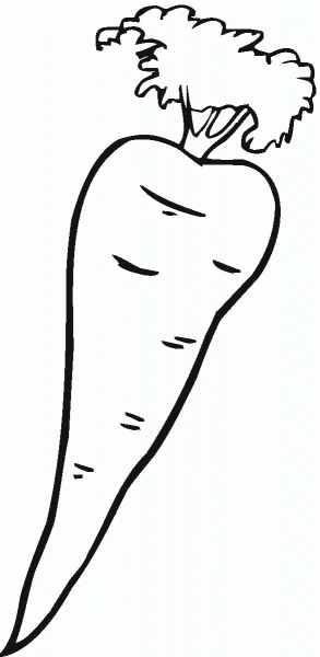 Carrot coloring page image