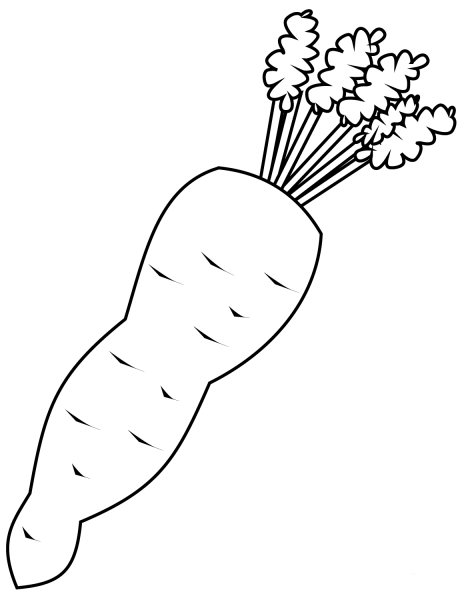 Carrot coloring page image