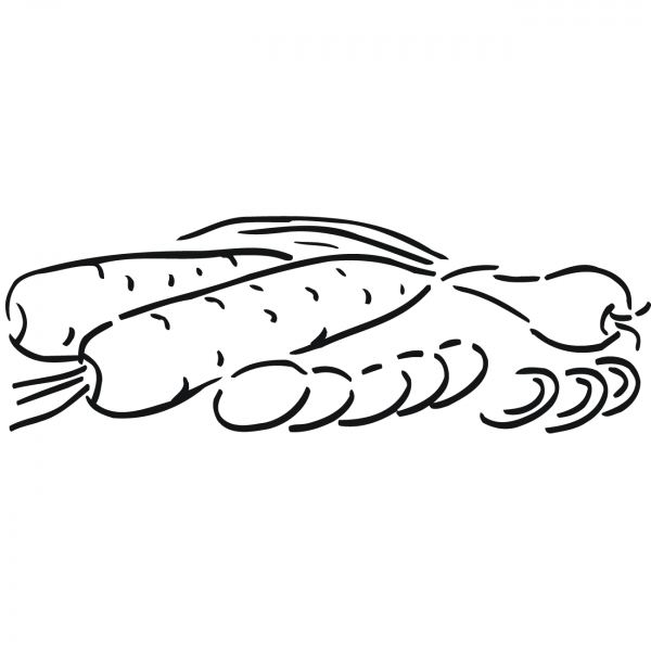 Carrots and Onion coloring page image