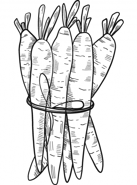 Carrots coloring page image