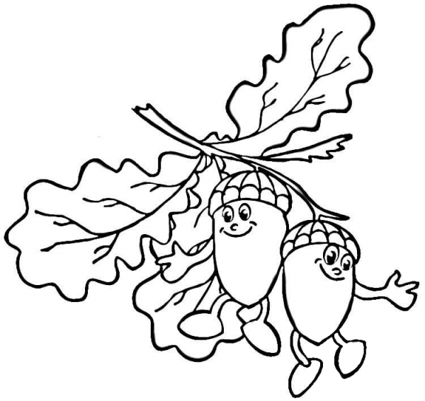 Cartoon Acorns  coloring page image