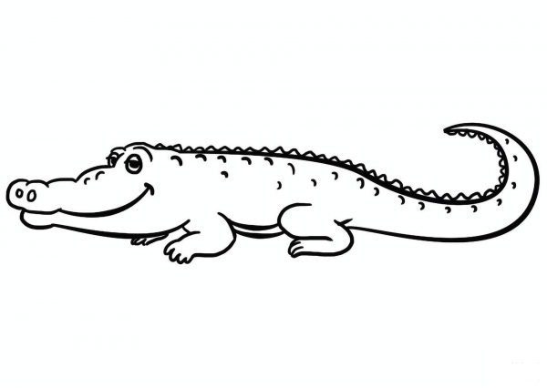Cartoon Alligator coloring page image