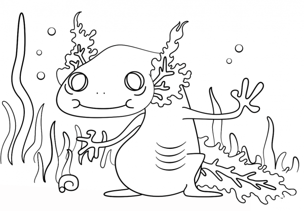 Cartoon Axolotl coloring page image