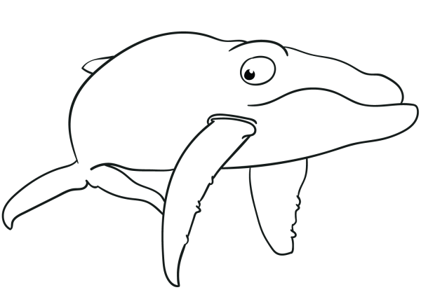 Cartoon Blue Whale coloring page image