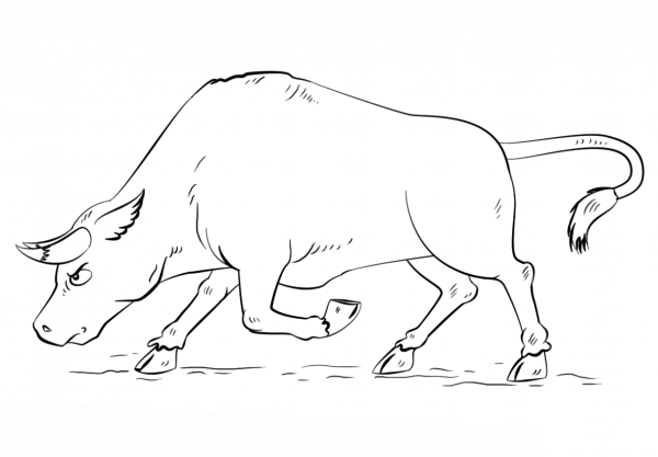 Cartoon Bull coloring page image