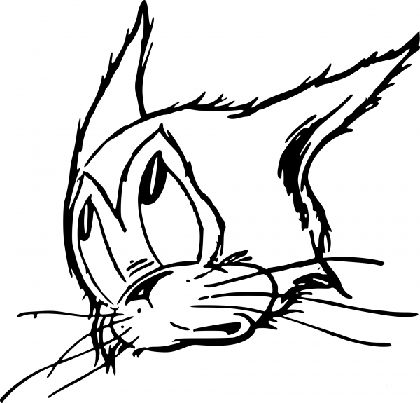 Cartoon Cat coloring page image