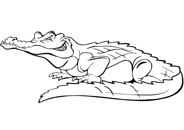 Cartoon Crocodile coloring page image