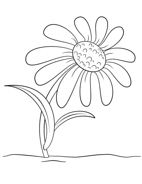 Cartoon Daisy Flower coloring page image