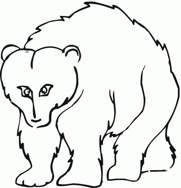 Cartoon Grizzly Bear coloring page image