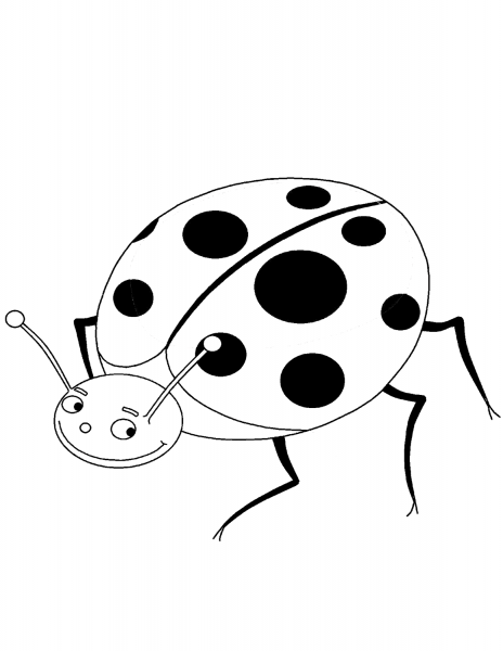 Cartoon Ladybug  coloring page image
