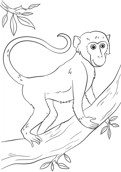 Cartoon Monkey on Tree coloring page image
