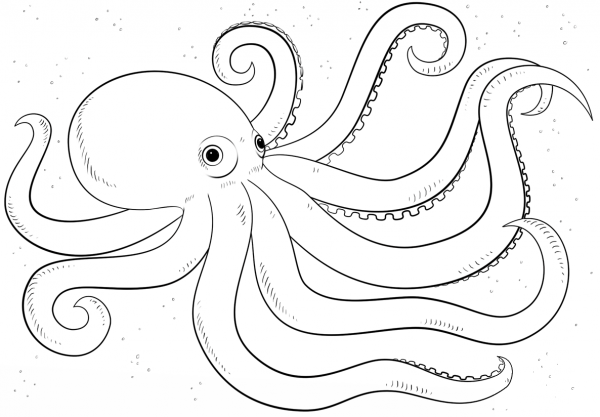 Cartoon Octopus coloring page image