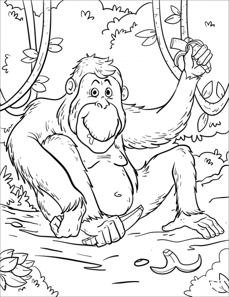 Cartoon Orangutan coloring page image