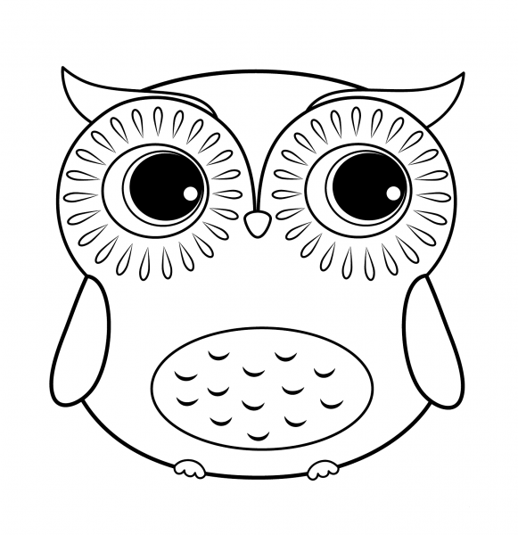 Cartoon Owl coloring page image