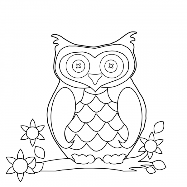 Cartoon Owl coloring page image