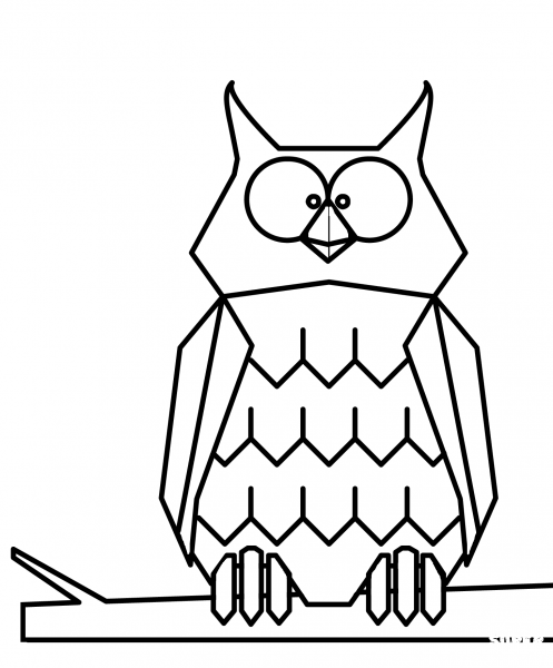 Cartoon Owl coloring page image