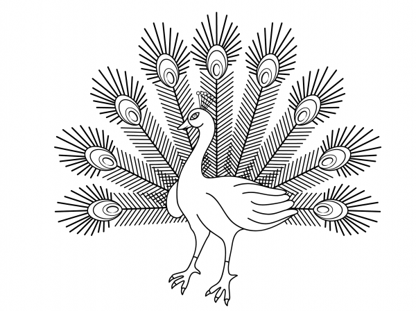 Cartoon Peacock coloring page image